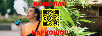 spice Моздок