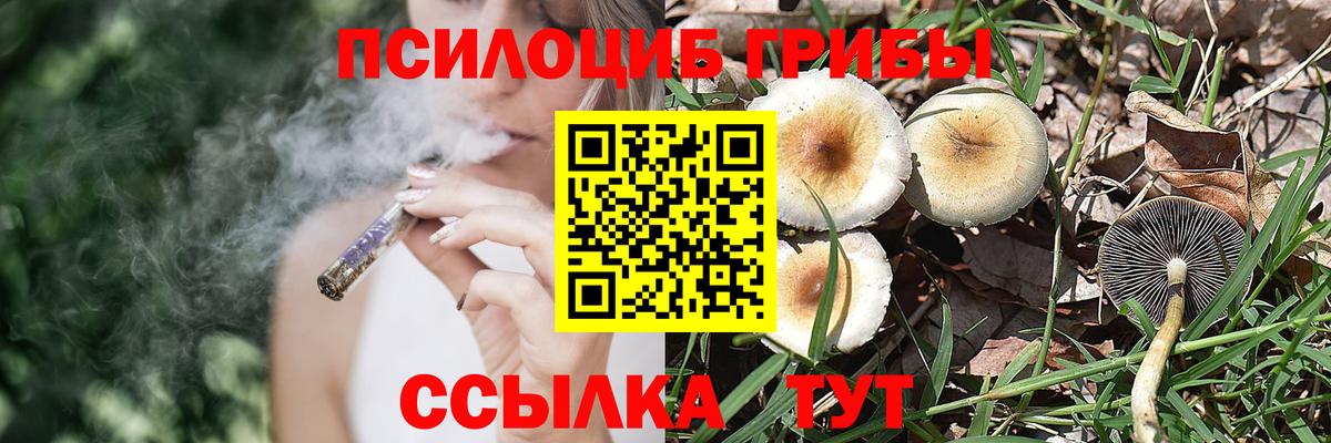 хочу наркоту  Вход с VPN  Троицк  Псилоцибиновые грибы прущие грибы 